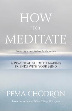 How to Meditate: A Practical Guide to Making Friends with Your Mind - Pema Ch�dr�n