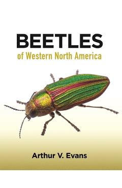 Beetles of Western North America - Arthur V. Evans