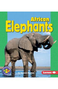 African elephants - shannon knudsen