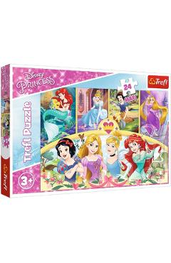 Puzzle 24 maxi. Amintiri magice