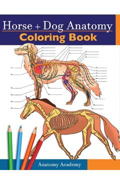 Horse + Dog Anatomy Coloring Book: 2-in-1 Compilation Incredibly Detailed Self-Test Equine & Canine Anatomy Color workbook Perfect Gift for Veterinary - Anatomy Academy