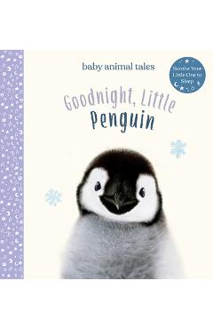 Goodnight, Little Penguin - Amanda Wood