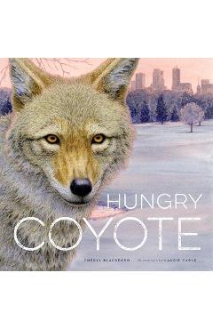 Hungry Coyote - Cheryl Blackford