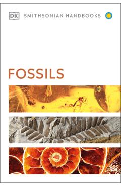 Fossils - Dk