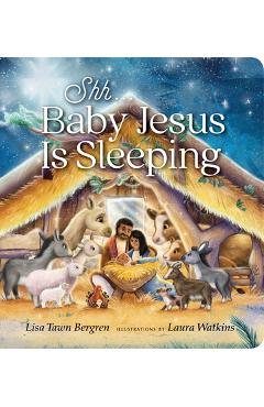 Shh... Baby Jesus Is Sleeping - Lisa Tawn Bergren