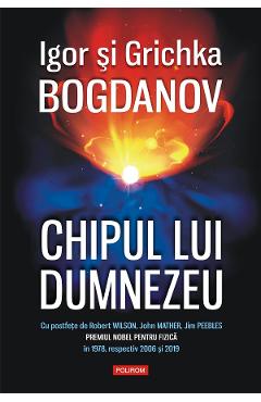 eBook Chipul lui Dumnezeu - Grichka Bogdanov Igor Bogdanov
