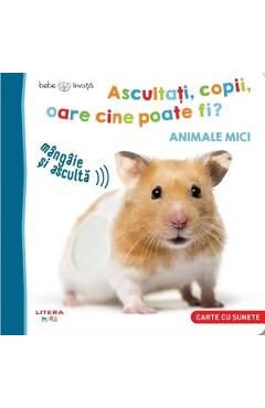 Bebe invata. Ascultati, copii, oare cine poate fi? Animale mici Animale