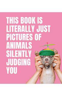This Book Is Literally Just Pictures of Animals Silently Judging You - Smith Street Books