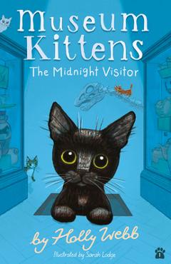 The Midnight Visitor - Holly Webb