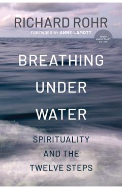 Breathing Under Water: Spirituality and the Twelve Steps - Richard Rohr