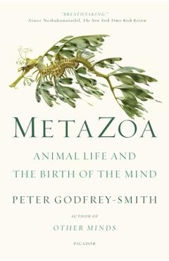 Metazoa: Animal Life and the Birth of the Mind - Peter Godfrey-smith