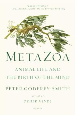 Metazoa: Animal Life and the Birth of the Mind - Peter Godfrey-smith