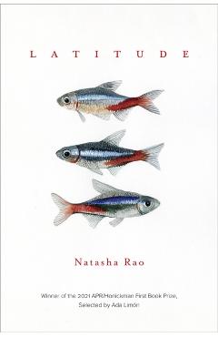 Latitude - Natasha Rao