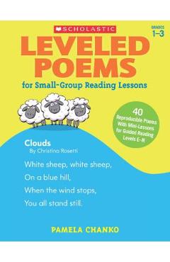 Leveled Poems for Small-Group Reading Lessons: 40 Reproducible Poems with Mini-Lessons for Guided Reading Levels E-N - Pamela Chanko