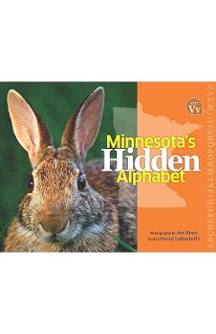 Minnesota\'s Hidden Alphabet - Joe Rossi