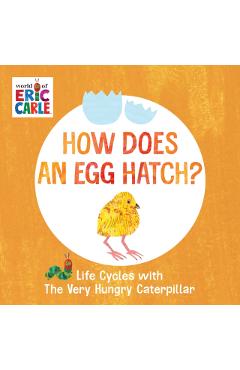 How Does an Egg Hatch?: Life Cycles with the Very Hungry Caterpillar - Eric Carle