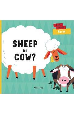 Sheep or Cow? - Lenka Chytilova