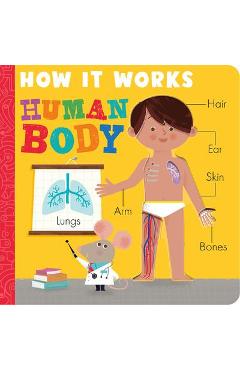 How It Works: Human Body - Amelia Hepworth