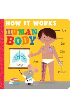 How It Works: Human Body - Amelia Hepworth