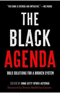 The Black Agenda: Bold Solutions for a Broken System - Anna Gifty Opoku-agyeman