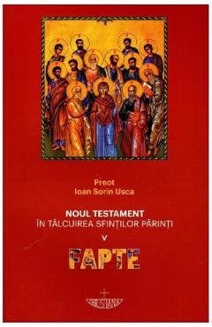 Noul Testament in talcuirea Sfintilor Parinti. Vol.5: Fapte - Pr. Ioan Sorin Usca
