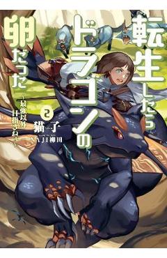 Reincarnated as a Dragon Hatchling (Light Novel) Vol. 2 - Nekoko