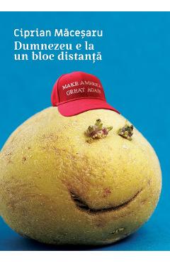eBook Dumnezeu e la un bloc distanta - Ciprian Macesaru