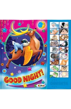 Sound Book. Good Night! Autor Anonim poza bestsellers.ro