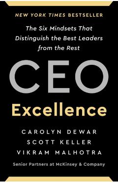 CEO Excellence: The Six Mindsets That Distinguish the Best Leaders from the Rest - Carolyn Dewar