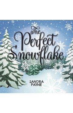 The Perfect Snowflake - Sandra Payne