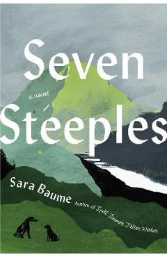 Seven Steeples - Sara Baume