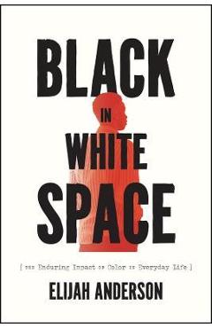 Black in White Space: The Enduring Impact of Color in Everyday Life - Elijah Anderson