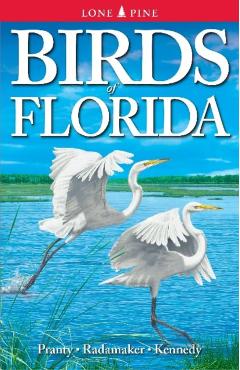 Birds of Florida - Bill Pranty