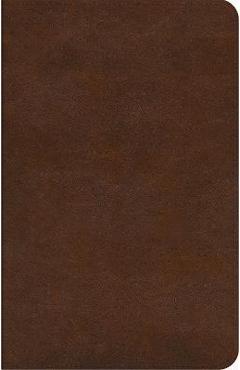 ESV Concise Study Bible(tm) (Trutone, Brown) -