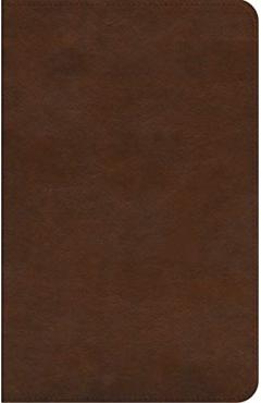ESV Concise Study Bible(tm) (Trutone, Brown) -