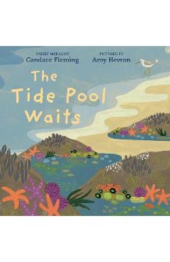The Tide Pool Waits - Candace Fleming