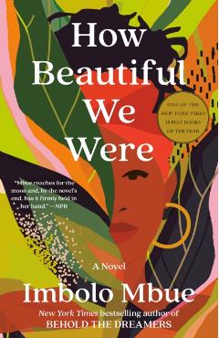 How Beautiful We Were - Imbolo Mbue