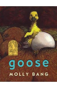 Goose - Molly Bang