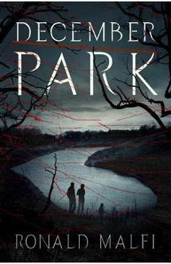 December Park - Ronald Malfi