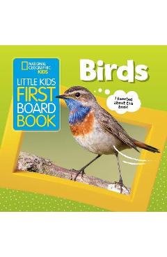 Little Kids First Board Book: Birds - Ruth Musgrave