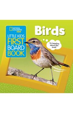 Little Kids First Board Book: Birds - Ruth Musgrave
