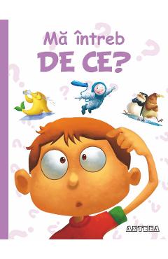 Ma intreb de ce? - ANTEEA