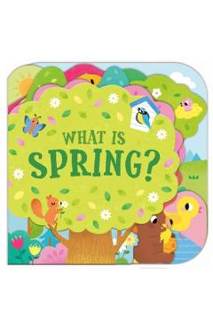What Is Spring? - Sonali Fry