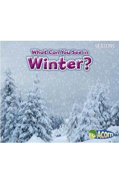 What Can You See in Winter? - Sian Smith