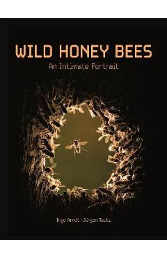 Wild Honey Bees: An Intimate Portrait - Ingo Arndt