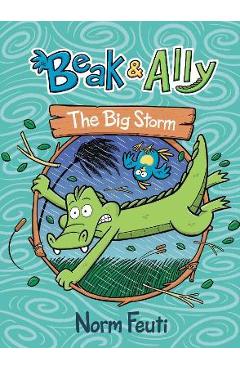 Beak & Ally #3: The Big Storm - Norm Feuti