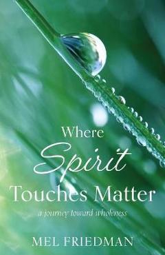 Where Spirit Touches Matter: a journey toward wholeness - Melvin R. Friedman