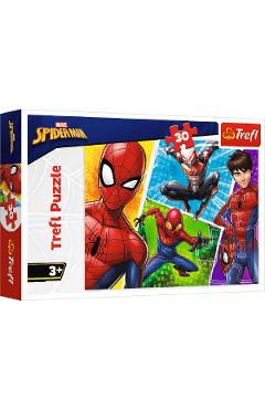 Puzzle 30. Spiderman si Miguel