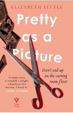 Pretty as a Picture - Elizabeth Little