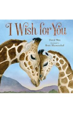I Wish for You - David Wax